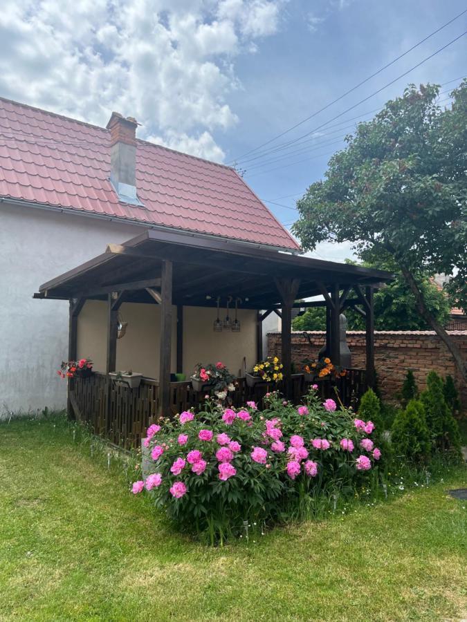 Silver House Rasnov ภายนอก รูปภาพ